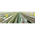 Saluran Hydroponics Strawberry Gully Komersial