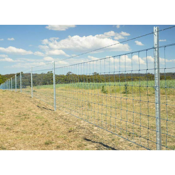 Knot ad alta trazione fisso da 8 piedi Fence