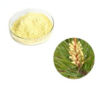 supply Freeze dried Aloe vera extract powder