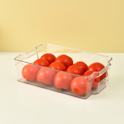 Plastic Kitchen Food Storage Bins with Handles