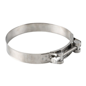 Powerful Repair Tool: Stainless Steel T Bolt Pipe Clip & Hose Clamps