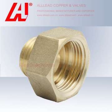 Brass Pipe Fitting Reducing Socket