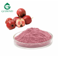 Proveedor de polvo de espino natural Crataegus pinnatifida