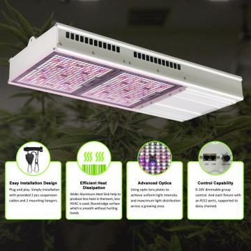 Quantum Board inomhus växthus LED GROW LAMP