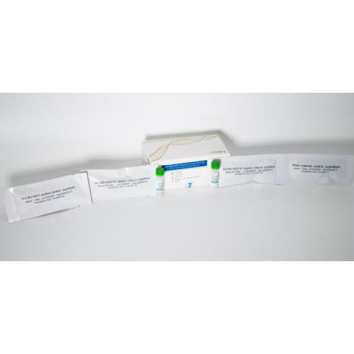 Kit de teste de ácido nucleico IAV/IBV/ADV (método da sonda de pCR-fluorescência)