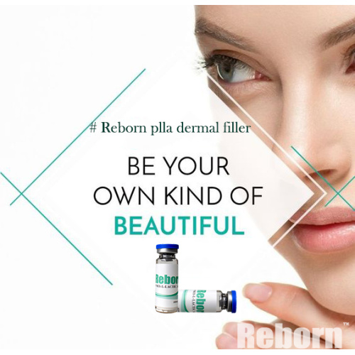 Chin Filler Reborn PLLA Injectable Filler for under eye