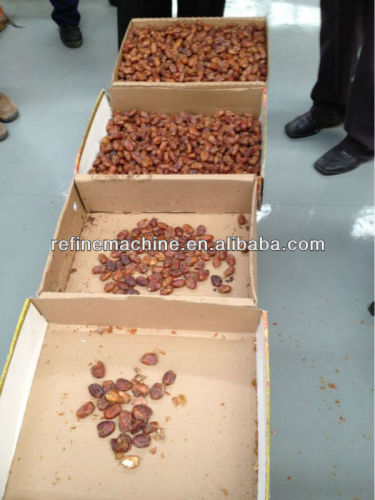 Commercial Date Palm Size Grading Machine, High Quality Commercial Date ...