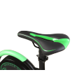 CE Certificated Foldable Electric Bike with Custom Logo