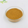 High-Quality Angelica Radix Extract