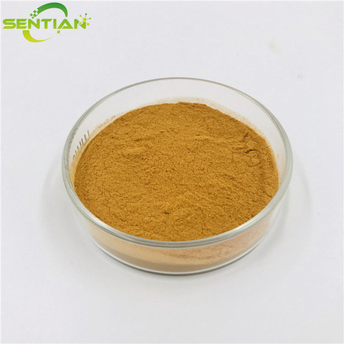 High-Quality Angelica Radix Extract