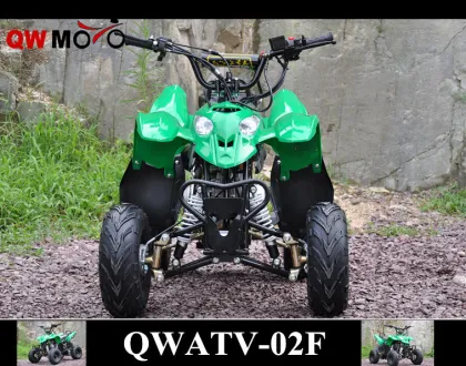 QWMOTO CE 50cc 110cc 125cc China polaris style ATV 110cc Kids polaris ATV