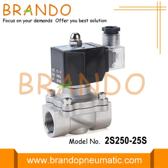 2S250-25S 1'' Replacement SS304 Solenoid Valve 24V 220V