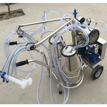 collecting milk milking machine with vacuum pump