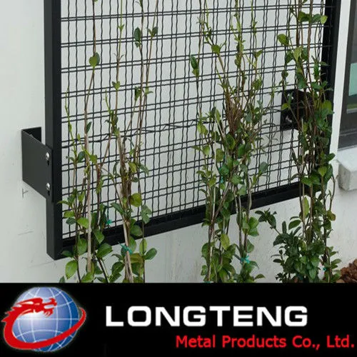 Factory price Galvanized wire mesh plant screens