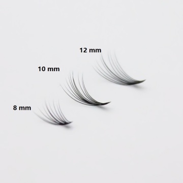 Extension de cils noirs de 12 lignes 10D 120 fans