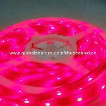 Digital RGB DMX LED Strip with Driver IC WS2801