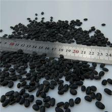 High Quality Small Black Beans