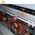 Multi-Tiers Chicken Poultry Farm Battery Chicken Layer Cage