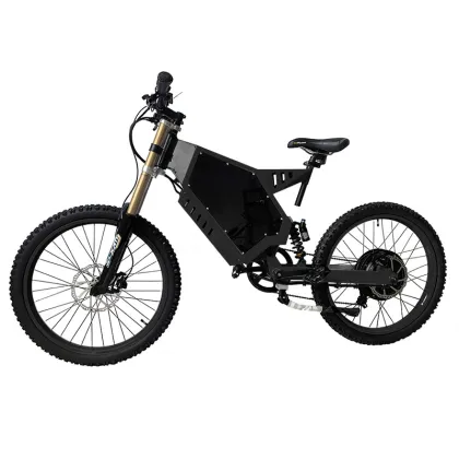 3000W QS Motor Off Road Electric Bicycle