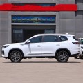 Gasoline 5 places SUV Tiggo 8