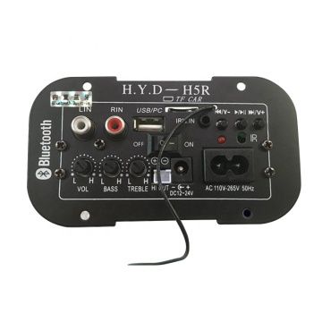 12V 24V 220V Subwoofer Amplifier Board for Car Audio DIY - 5-8 inch Speakers