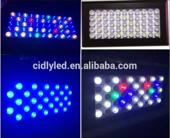 Cidly 165w Programmable led aquarium reef lighting with full spectrum 55x3w