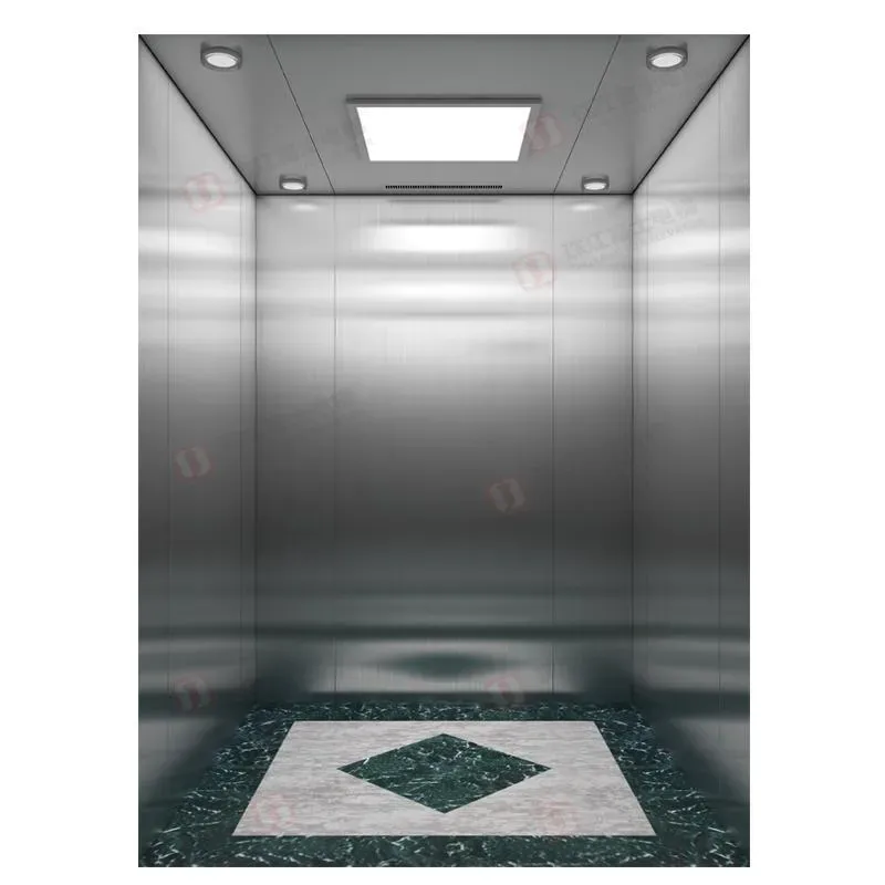 Panoramic Lift for Residential and Commercial Buildings