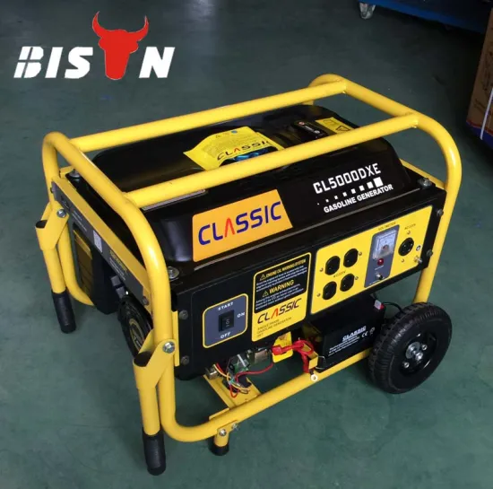 BISON(CHINA) Competitive Price 110V 220V Type Single Phase 5.5kw Gasoline Generator