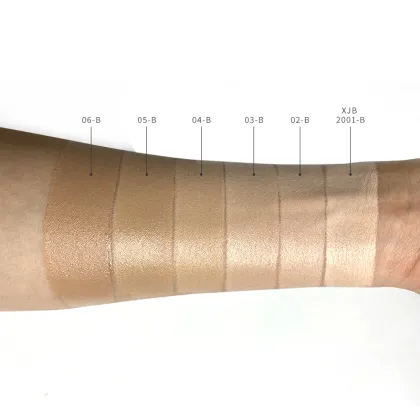 Wholesale full coverage facial liquid make up foundation