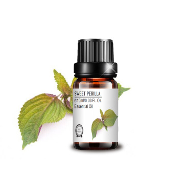 Label privada personalizada Sweet Perilla Essential Oil for Massage