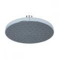 Classic Bathroom Black Color Top Shower With Diverter The Shower Head