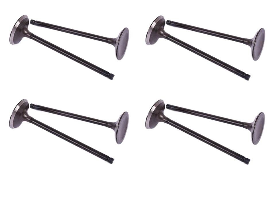 1675266 Intake Valve for Engine
