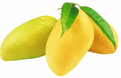Fruit Processing Industry: Mango Peeler Slicer Machine & Fruit Juice Manufacturing
