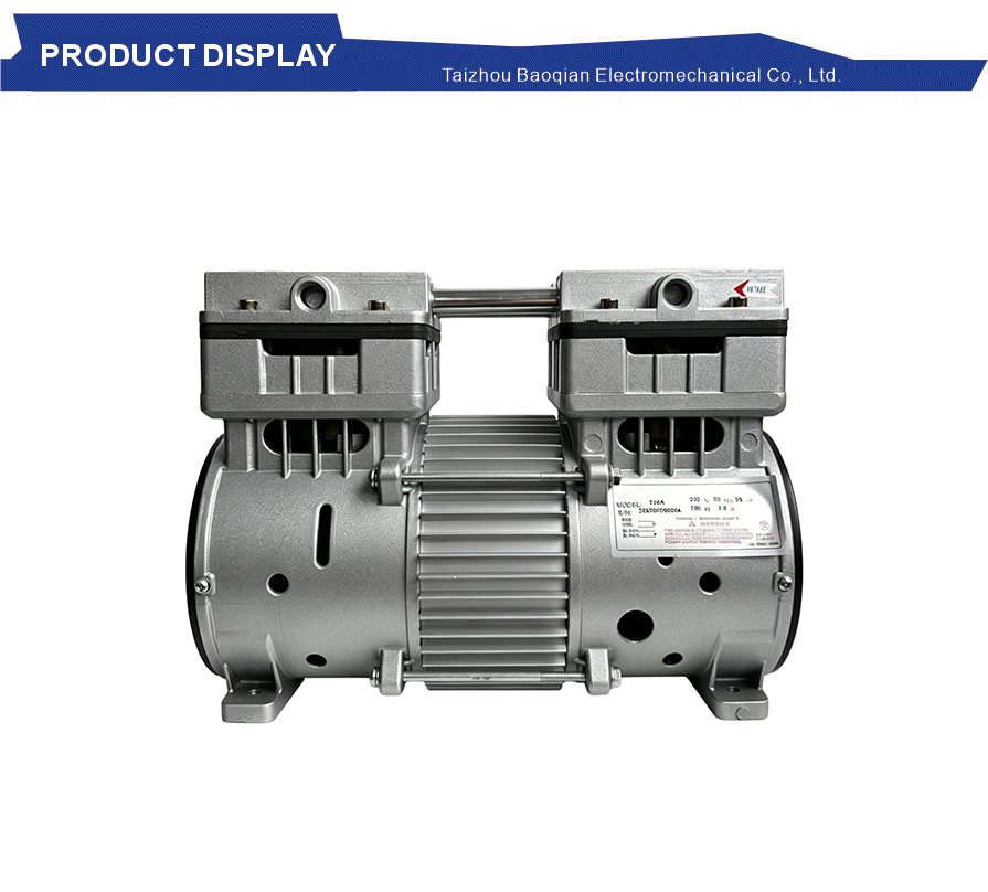 Clean silent dental pump core