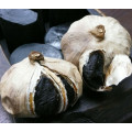 The black garlic for diabetes