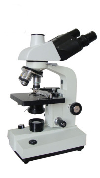 Zoom Stereo Microscope