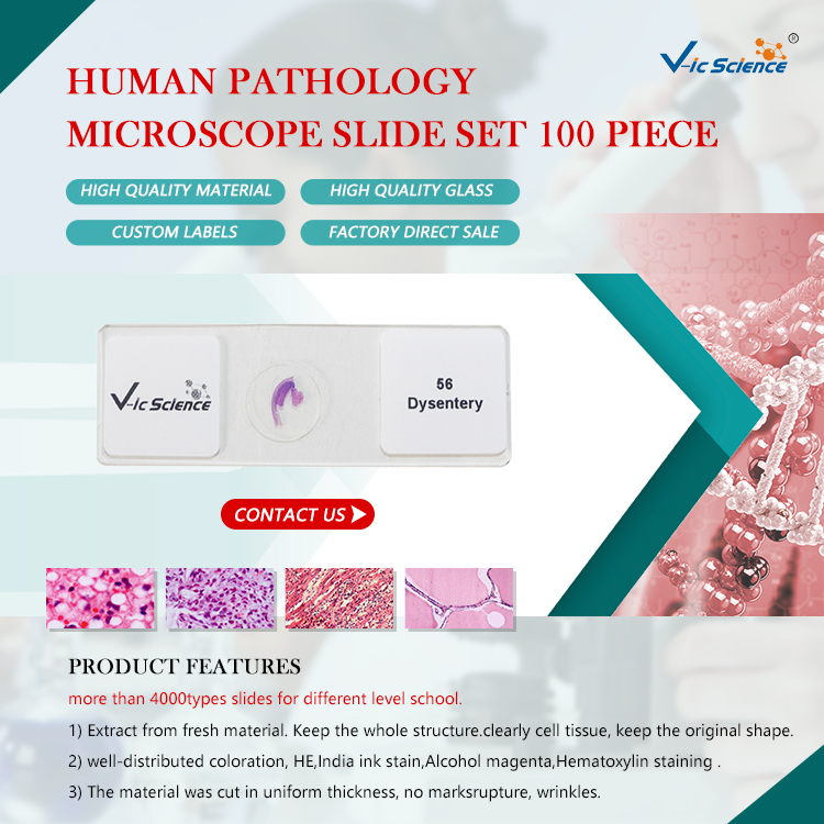 Pathology