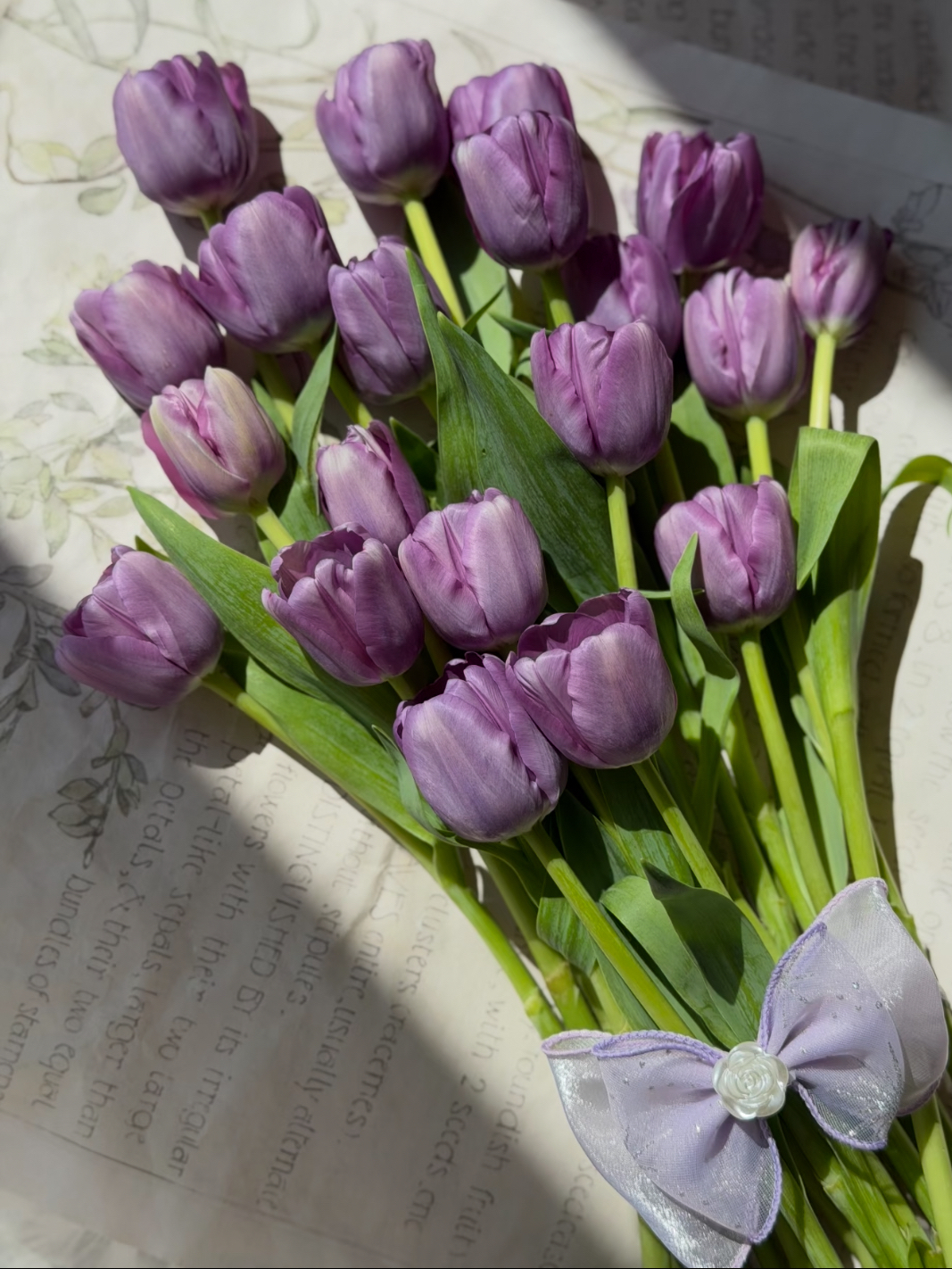 Fresh cut purple tulip4