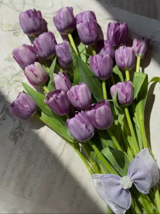 Fresh cut purple tulip