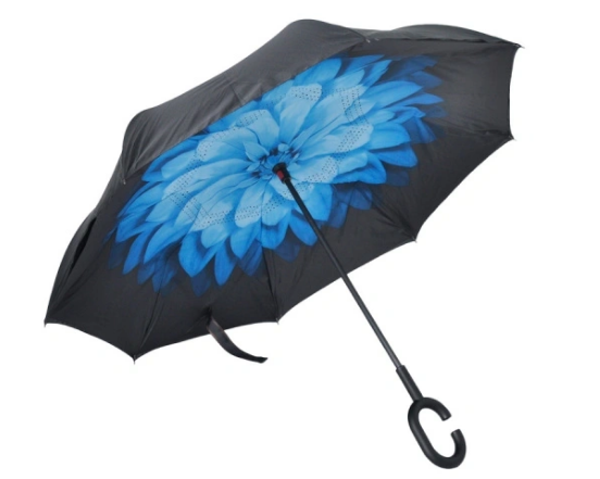 Custom umbrella