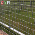 Fence Fence Horse Fencing Bovine recinzione in fattoria