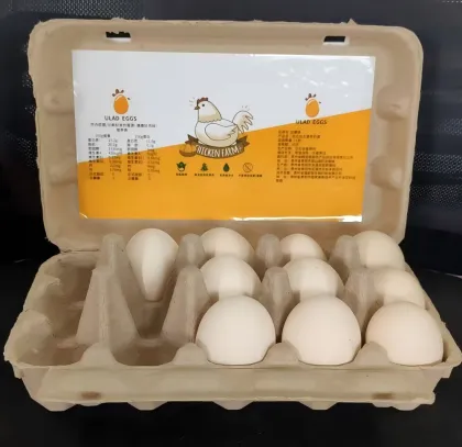 Yellow dry-pressed egg carton