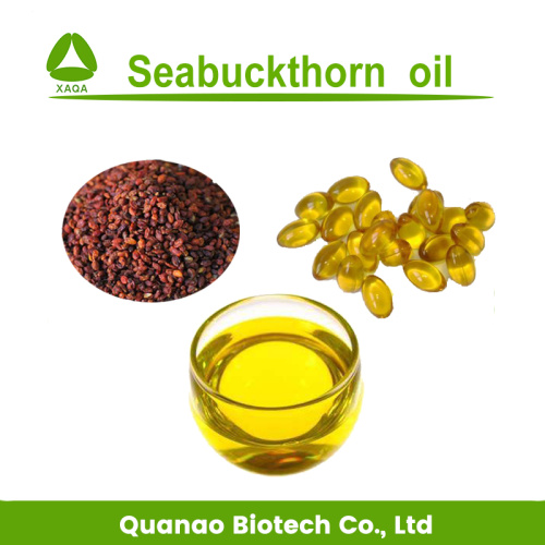 Liver Protect Material Seabuckthorn Seed / Fruit Oil Liver Health Material Factory