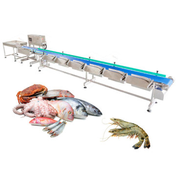 China Small Fish and Shrimp Grader Weight Poulter