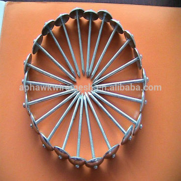 GAL. UMBRELLA HEAD ROOFING NAILS