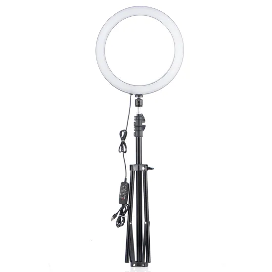 Wholesale Mini 310MM Dimmable LED Ring Light for Photography and Selfies