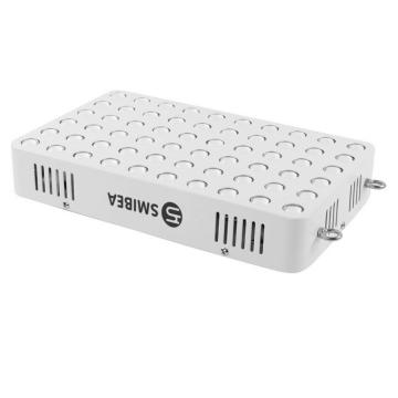 Infared 100w Therapy Light