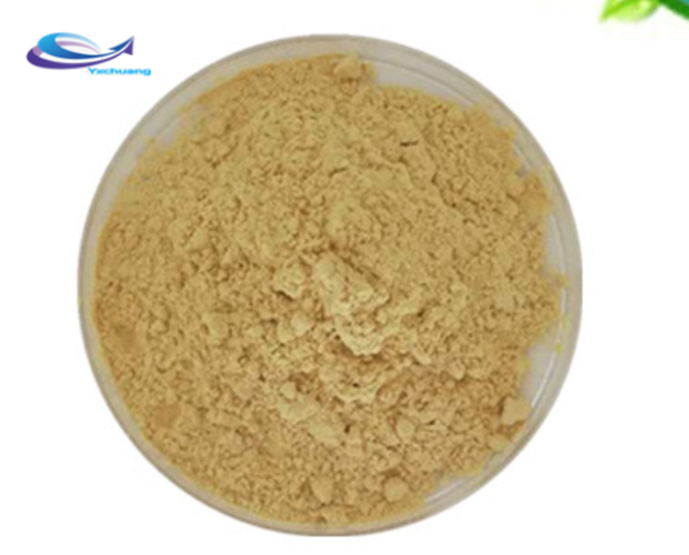 Ginsenosides powder