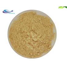 supply Ginseng Root Extract Powder