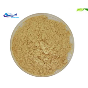 supply Ginseng Root Extract Powder